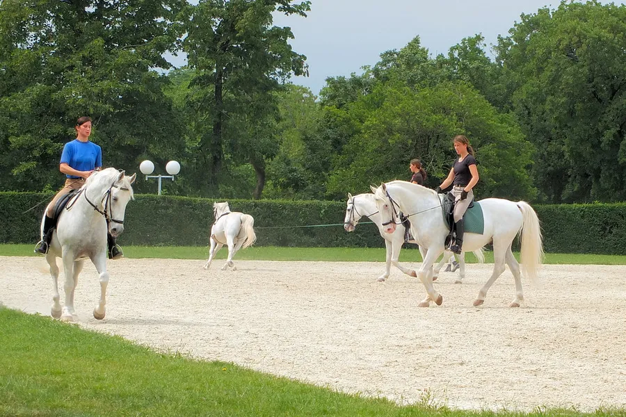 Lipica Stud Farm