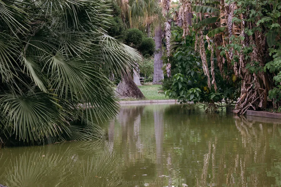 Lisbon Botanical Garden