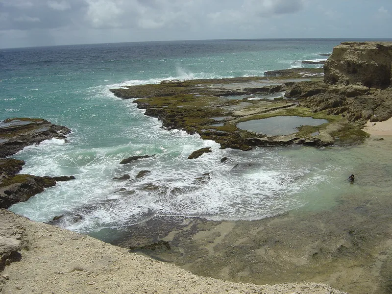 Little Bay