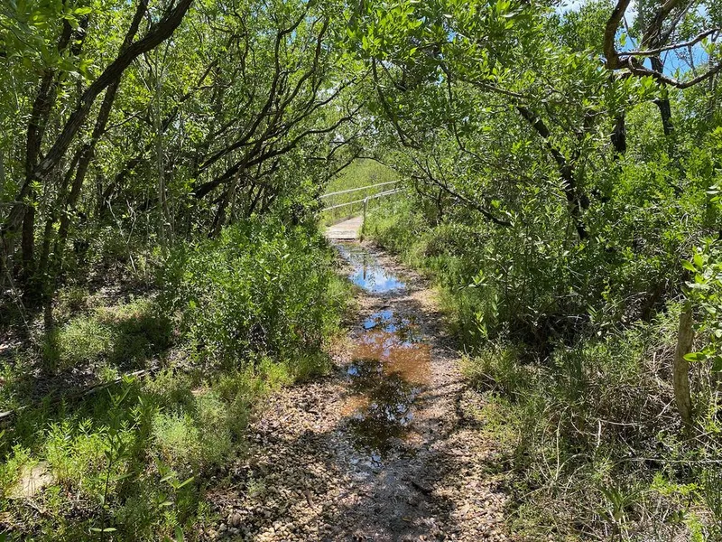 Little Hamaca Park