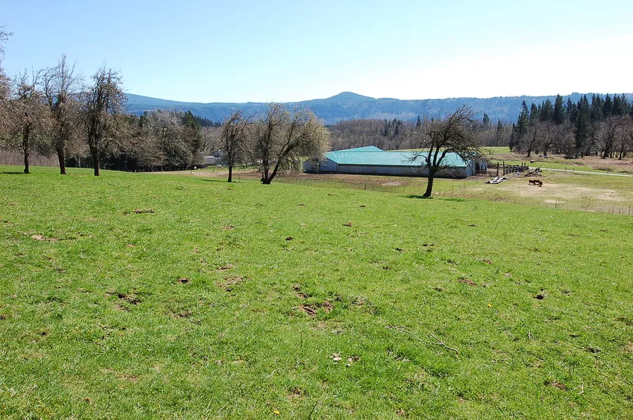 Little River Farms