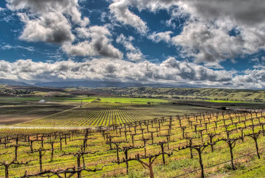 Livermore Valley Wine Country