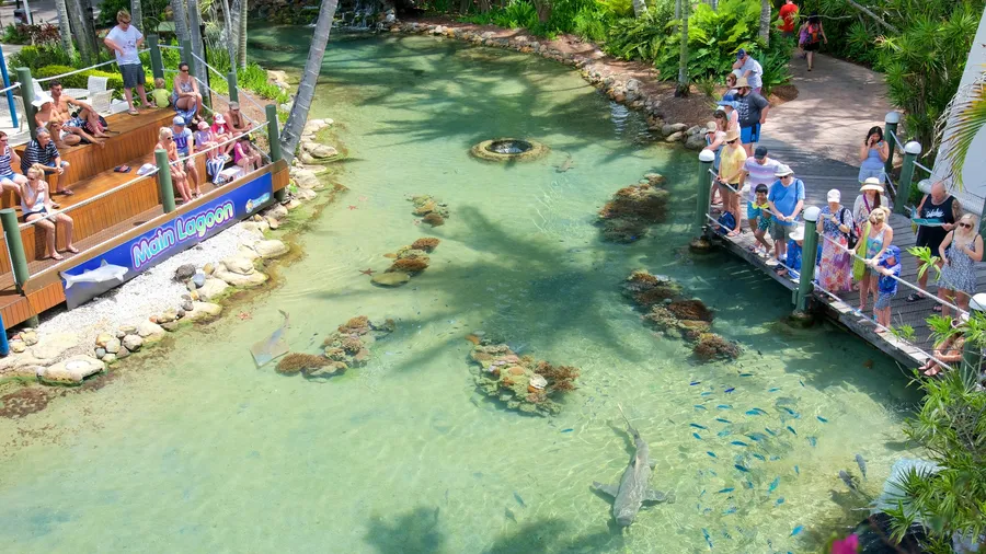 Living Reef Lagoon