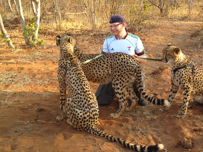 Livingstone Reptile Park
