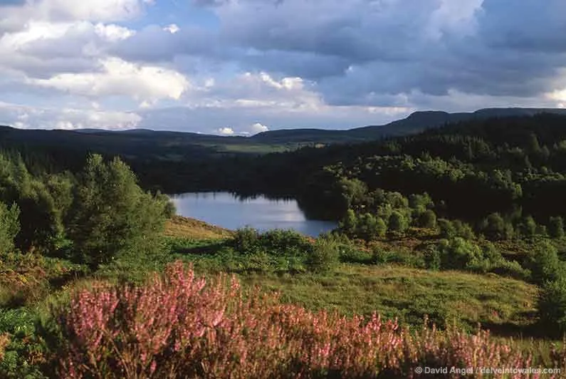Llyn Elsi
