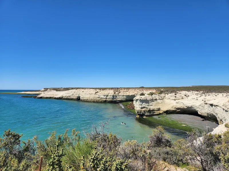 Loberia de Punta Loma