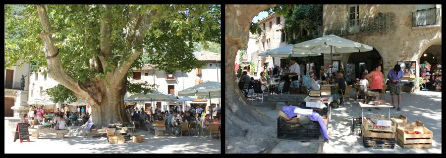 Local Artisan Shops