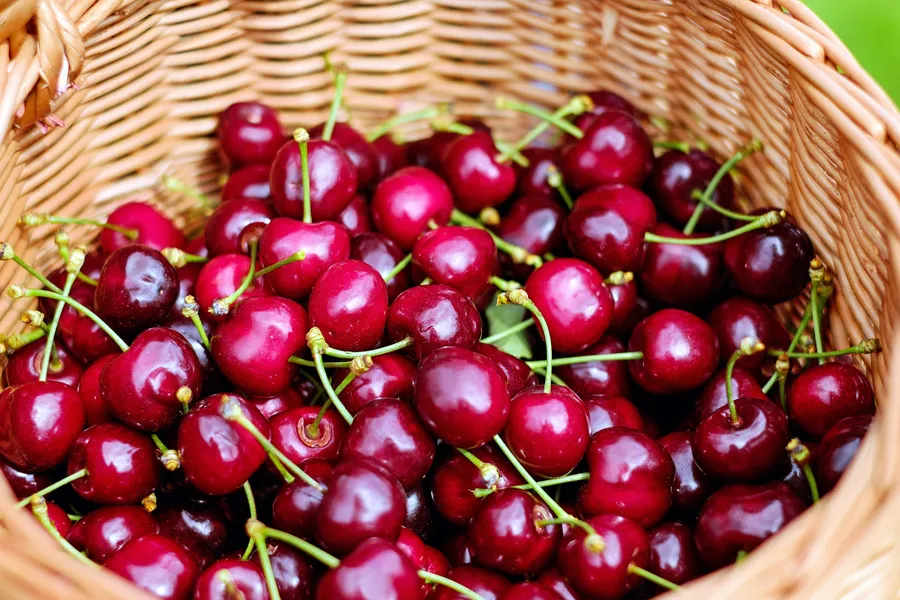 Local Cherry Orchards