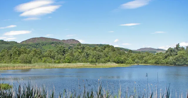 Loch of the Lowes Wildlife Reserve