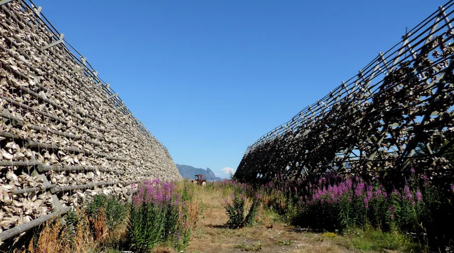 Lofoten Stockfish Museum