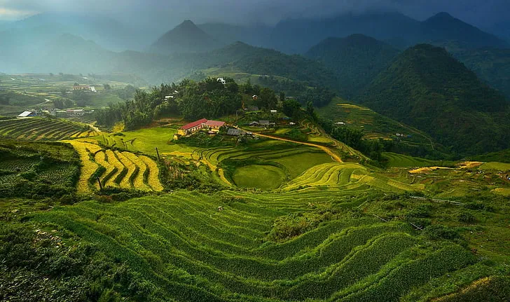 Long Bawan Rice Fields