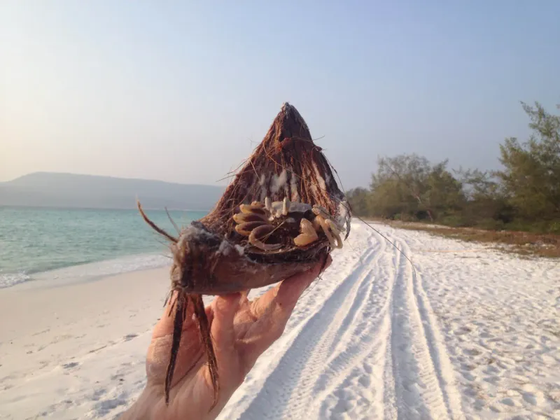 Long Set Beach