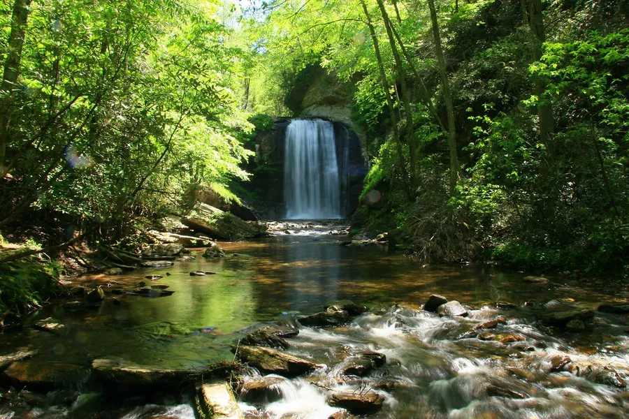 Looking Glass Falls