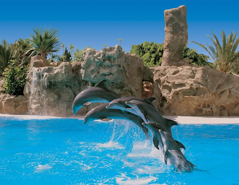 Loro Parque
