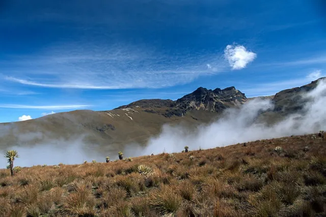 Los Nevados National Natural Park