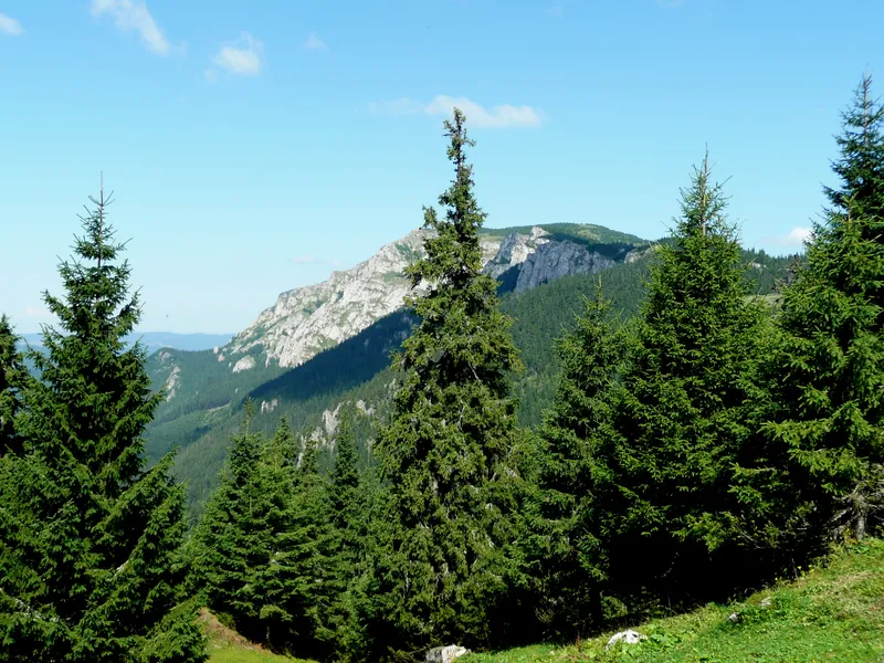 Los Pinos