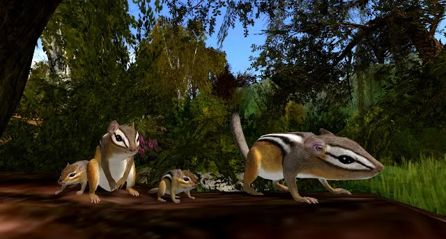 Lost Creek Safari