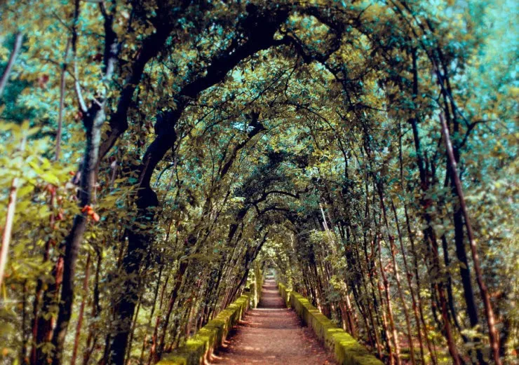 Lovers' Path