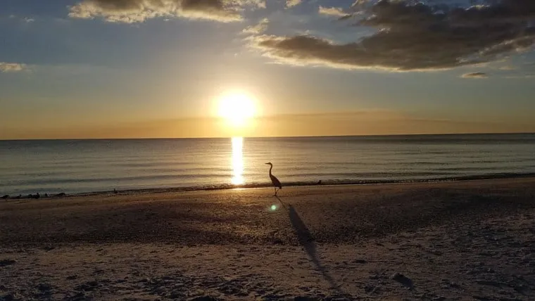 Lovers Key State Park