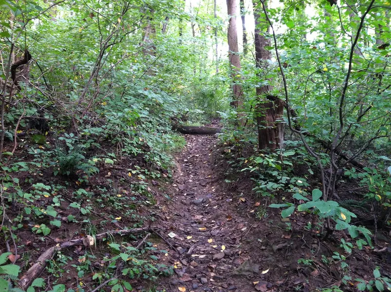 Lower Susquehanna Heritage Greenway