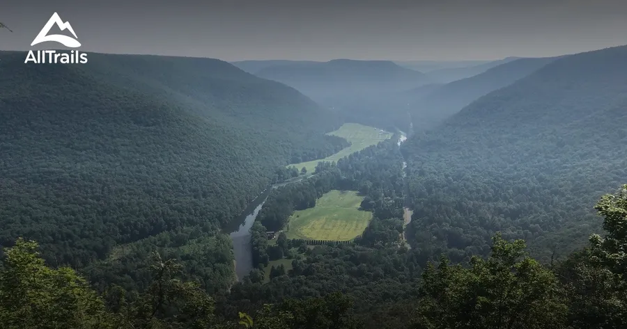 Loyalsock State Forest