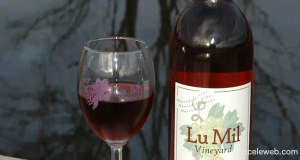 Lu Mil Vineyard