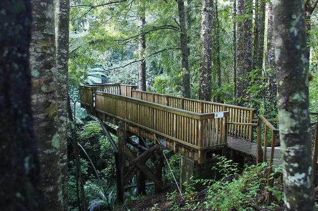 Lucy Moore Memorial Park