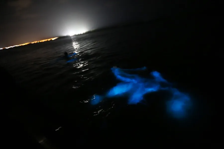 Luminous Lagoon