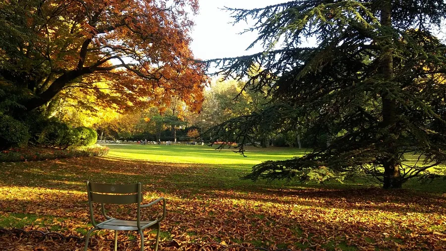 Luxembourg Gardens