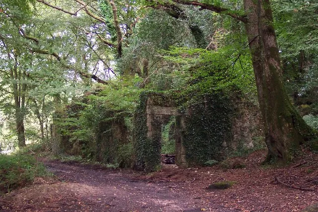 Luxulyan Valley