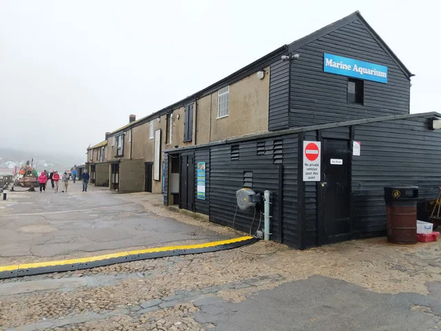 Lyme Regis Marine Aquarium