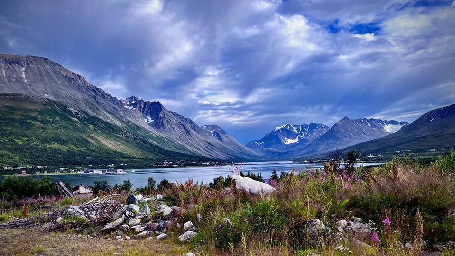 Lyngen Alps