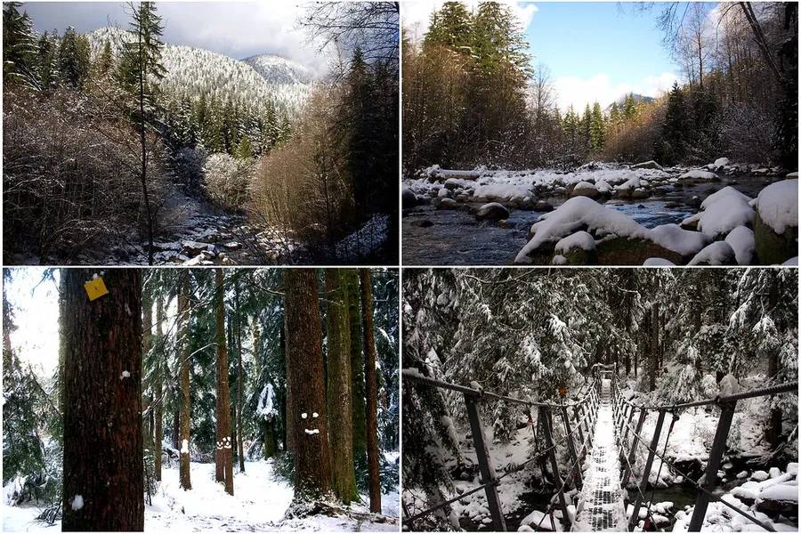 Lynn Valley Trail