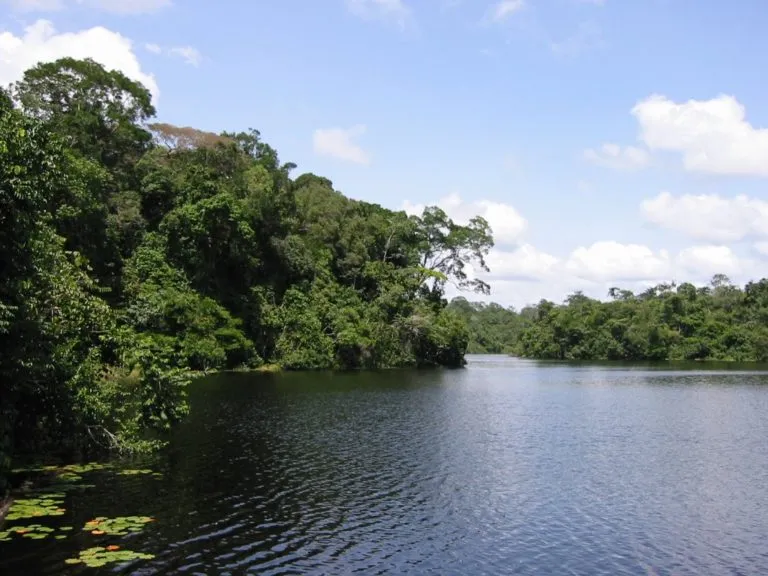 MUSA - Amazon Sustainable Science Center