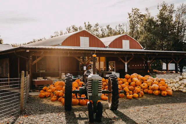 Maan Farms Market & Estate Winery