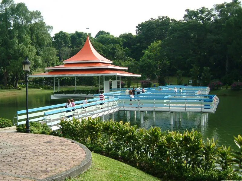 MacRitchie Reservoir Park