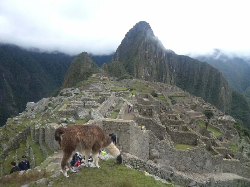 Machu Picchu