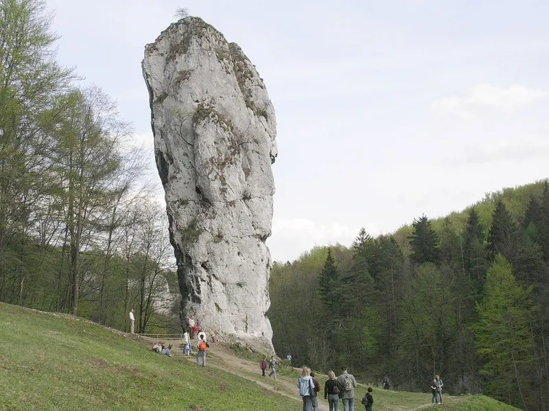 Maczuga Herkulesa (Hercules' Club)