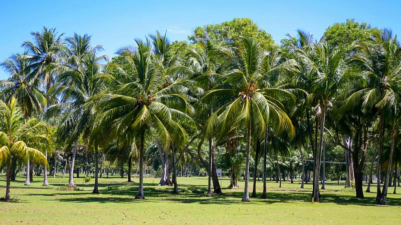 Madang Resort Golf Course