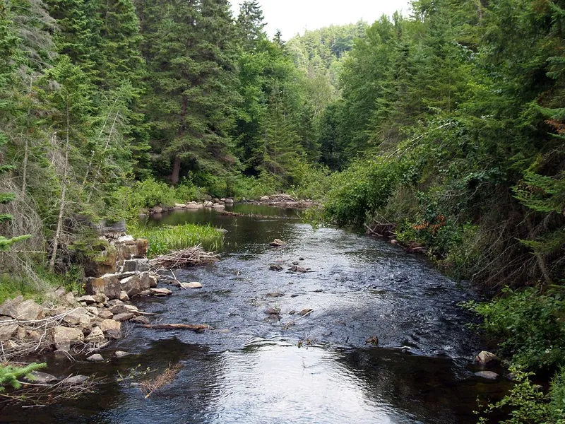 Madawaska River