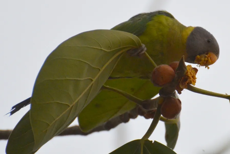 Madhav National Park