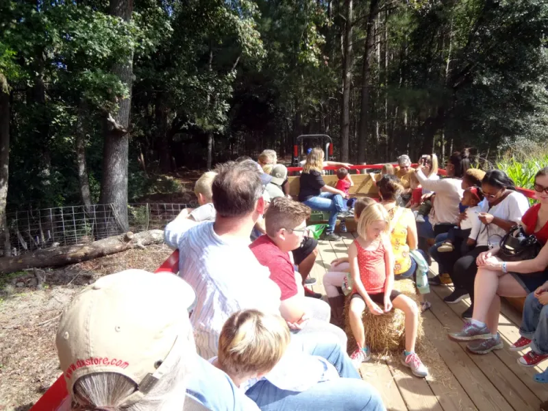 Maize Quest Fun Park