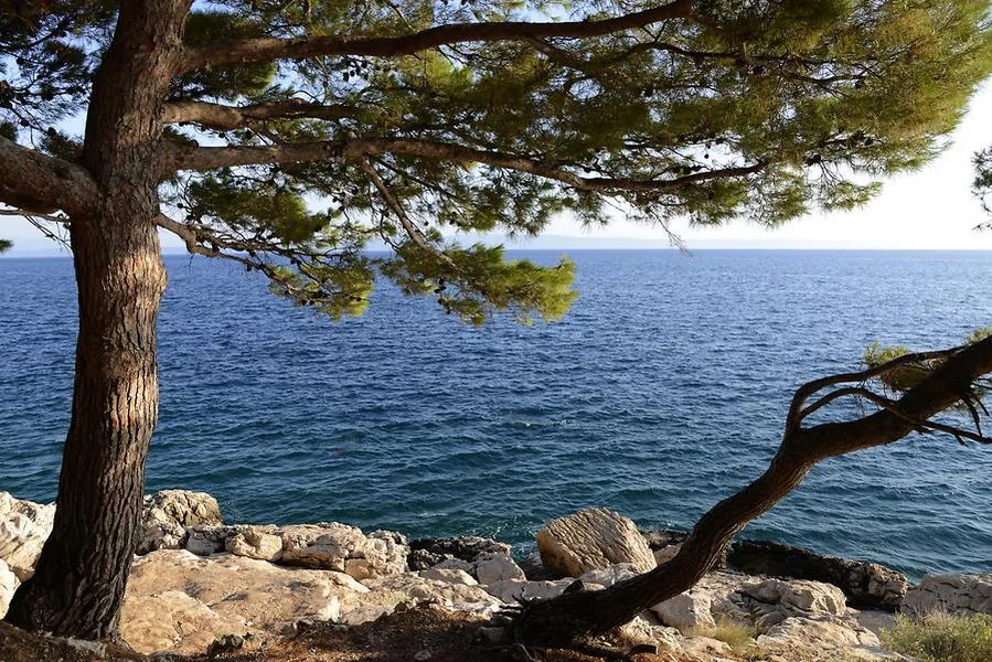 Makarska Beach