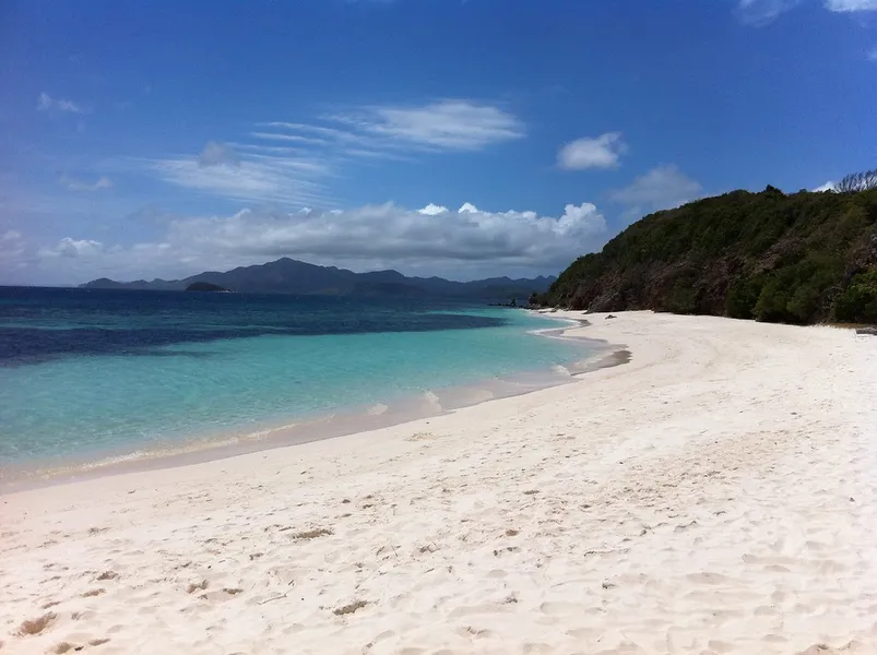 Malcapuya Island