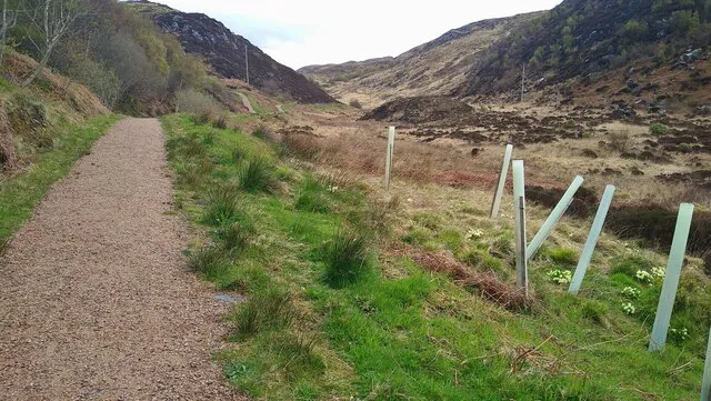 Mallaig Circuit Walk