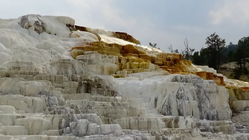 Mammoth Hot Springs