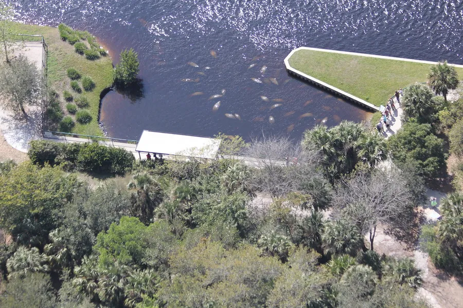 Manatee Park
