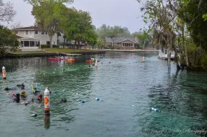 Manatee Sanctuary Park