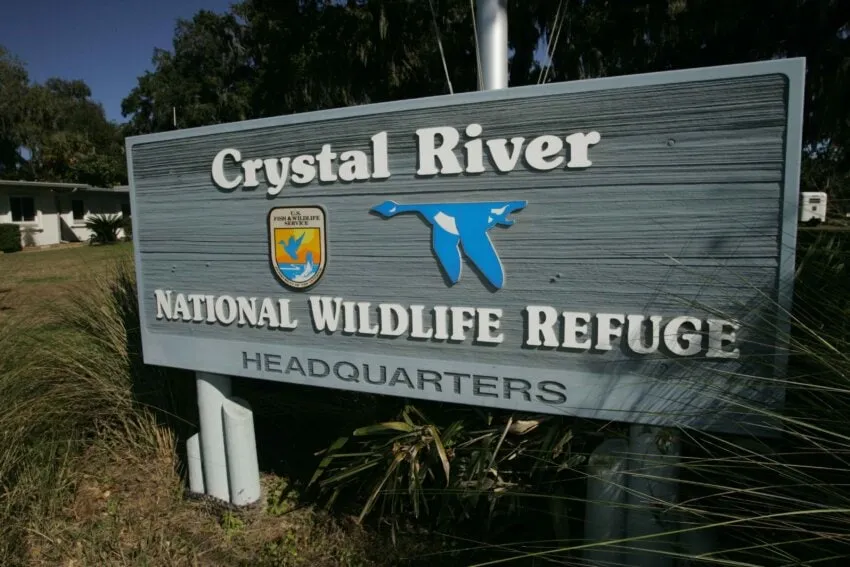 Manatee Tour and Dive Center
