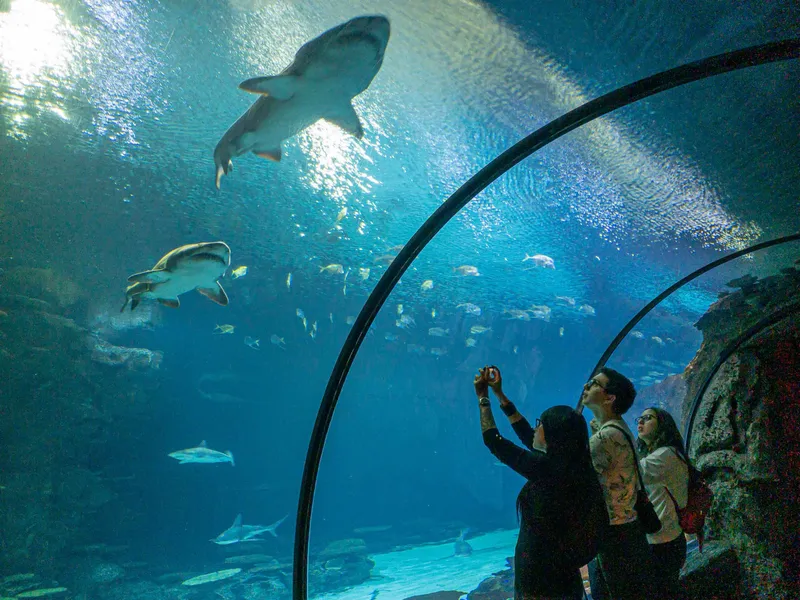 Mandalay Bay Shark Reef Aquarium